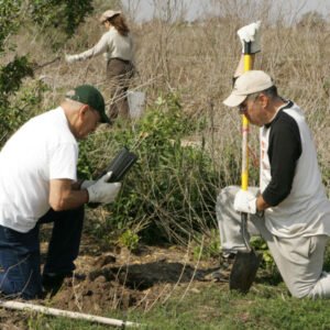 Volunteers Planting